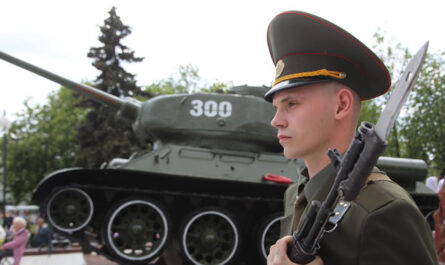 1m6a7095