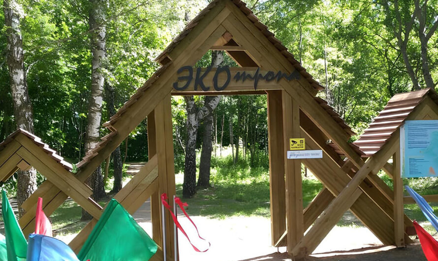 Лучшие экотропы Минска: маршруты для прогулок и отдыха на природе