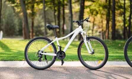 belyi velosiped stoasii v parke