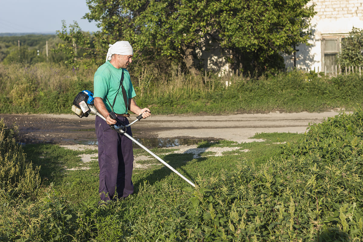 celovek na ferme sit travu s gazonokosilkoi 1
