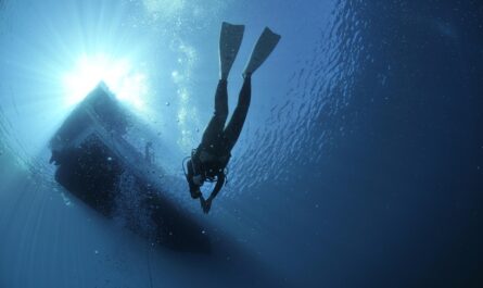 diving 1639964 1280 1