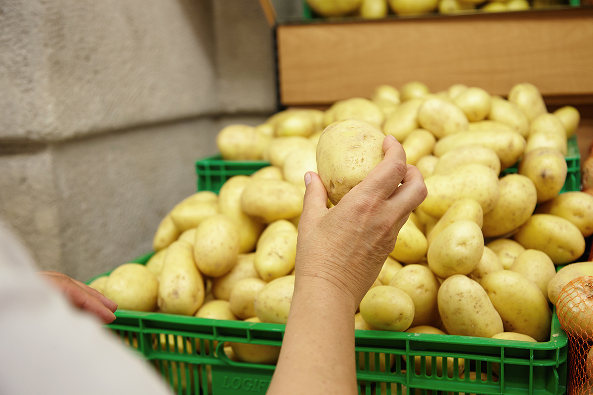 podrezannyi portret starsei kavkazskoi zensiny protagivaa ruku s bol soi kartoskoi v nei gotovyi polozit ee v svou korzinu delaa pokupki v supermarkete isa ovosi dla prigotovlenia semeinogo uzina