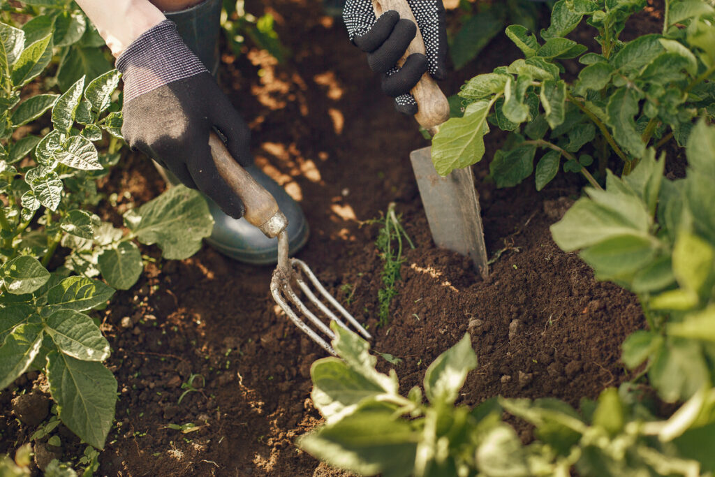 woman hat working garden 1