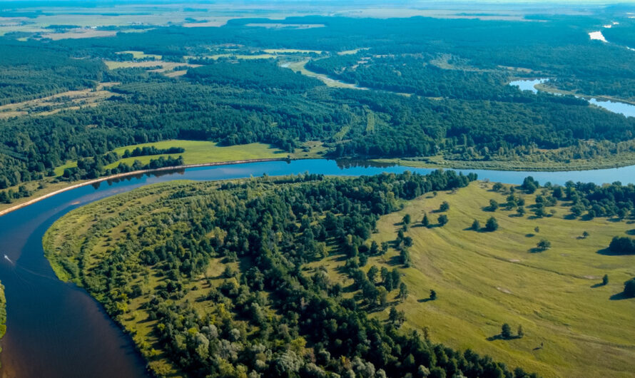 Узнали, как прогрелись реки в Беларуси: температура воды в разных регионах