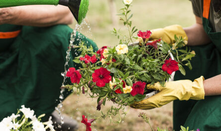 close up couple watering flowers