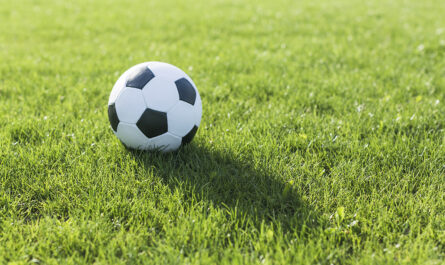 football grass with shadow