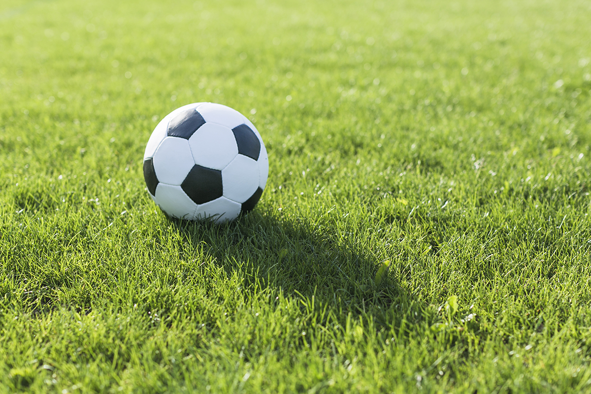 football grass with shadow
