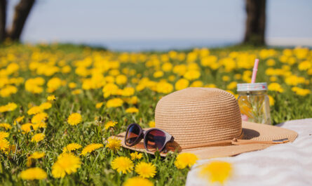 pretty summer hat with sunglasses grass