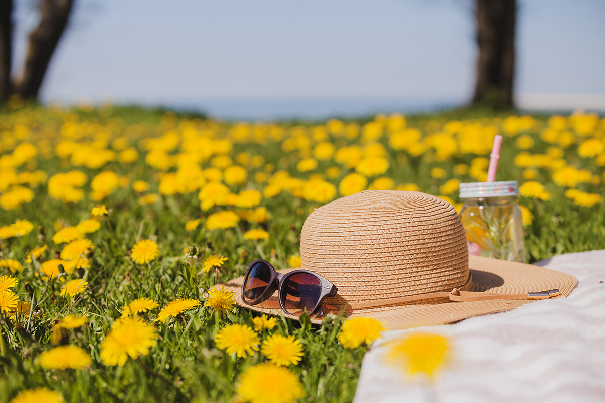 pretty summer hat with sunglasses grass