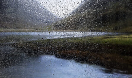 rain effect nature background 1