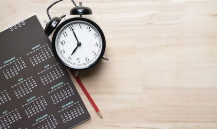 organisation quotidienne