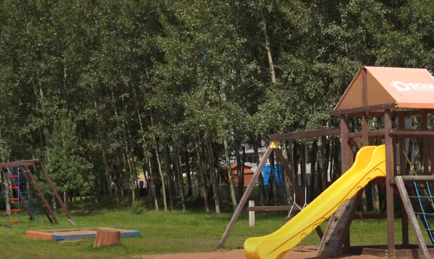 В Минске обновили экотропу «Окно в природу»: что появилось нового на берегу Свислочи