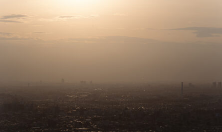 beautiful city landscape sunset