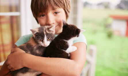 charming little boy holds two kitties his arms