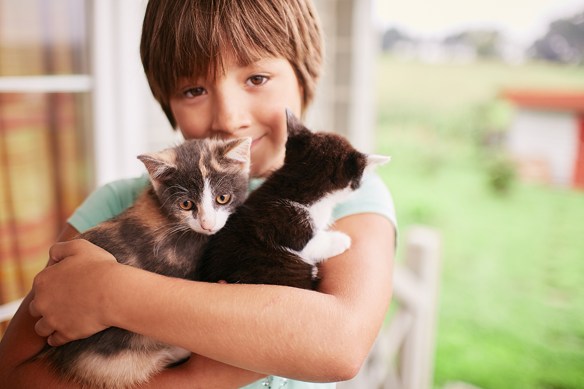 charming little boy holds two kitties his arms