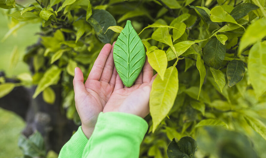 Что делают минчане для экологии: мнения гостей Ecology Expo 2025