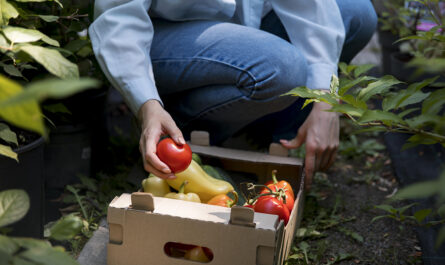 stainable greenhouse
