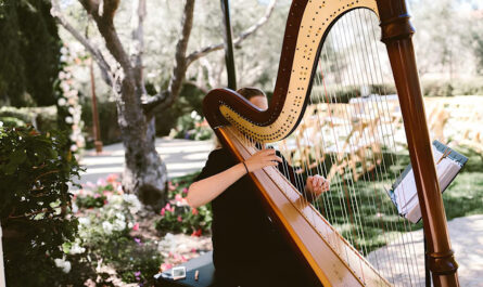 woman playing harp outdoors 665346 36017 1