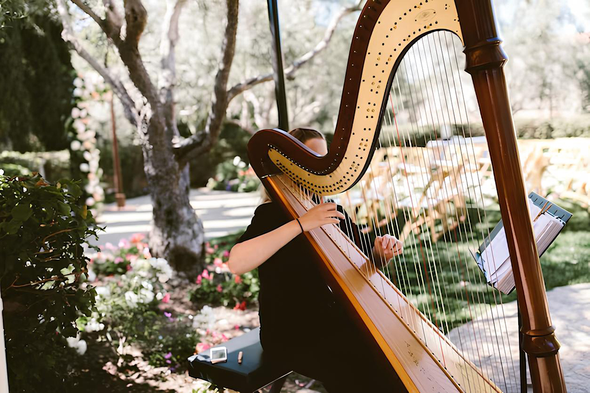 woman playing harp outdoors 665346 36017 1
