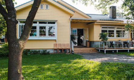wooden windows green grassy garden