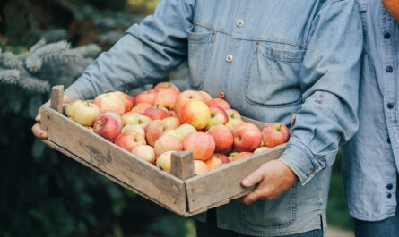 old senior standing summer garden with harvest