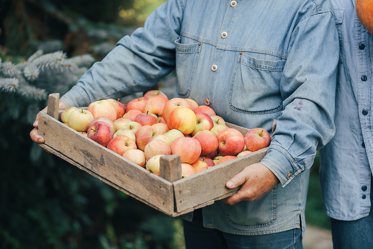 old senior standing summer garden with harvest