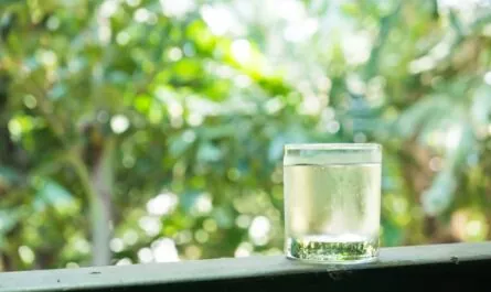 water glass 74190 1519