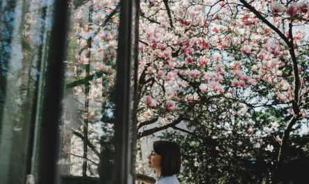 adorable young woman with short hair stands blooming pink tree