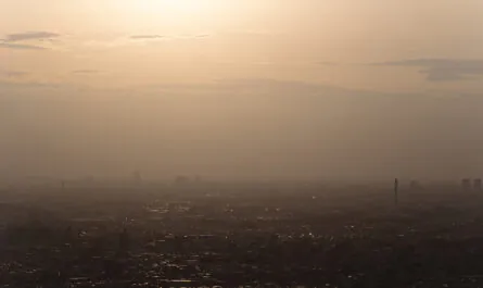 beautiful city landscape sunset