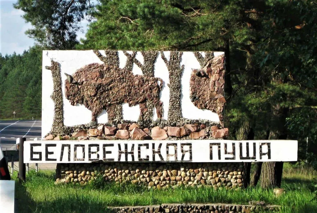 Топ-5 заповедников Беларуси: уникальная природа, редкие виды и маршруты для туристов 2 bialowieza forest entry