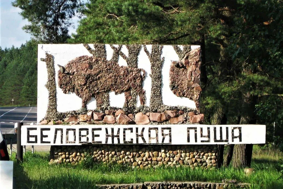 bialowieza forest entry