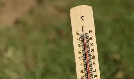 close up thermometer showing high temperature