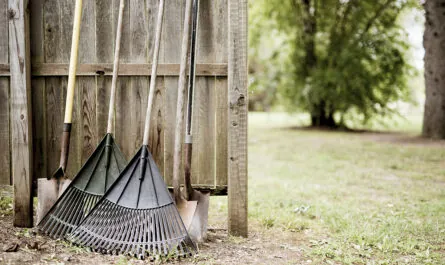 closeup shot two leaf rakes shovels leaned against wooden fence with blurred background