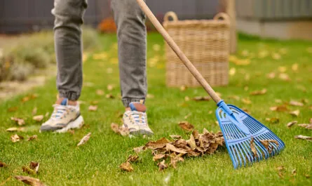 male feet lawn rake near leaves