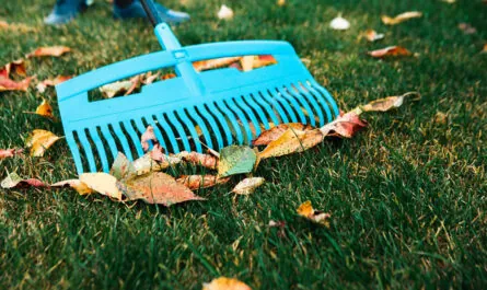 man with rake picks up leaves autumn landscape golden autumn 93200 4628