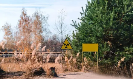road sign by trees field against sky 1048944 17410325 pica