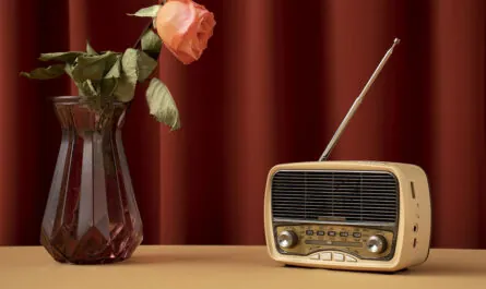 vintage radio thrift shop