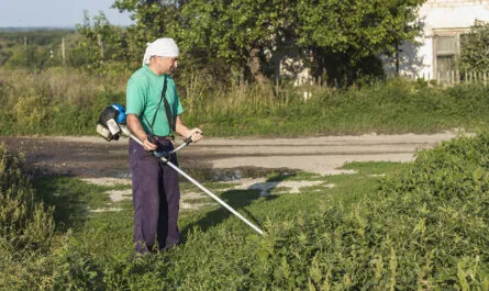 celovek na ferme sit travu s gazonokosilkoi 1