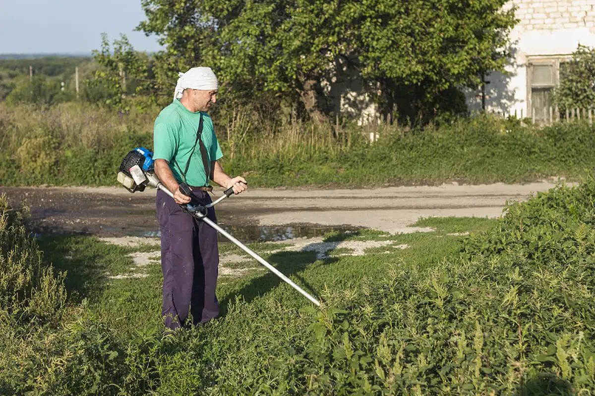 celovek na ferme sit travu s gazonokosilkoi 1