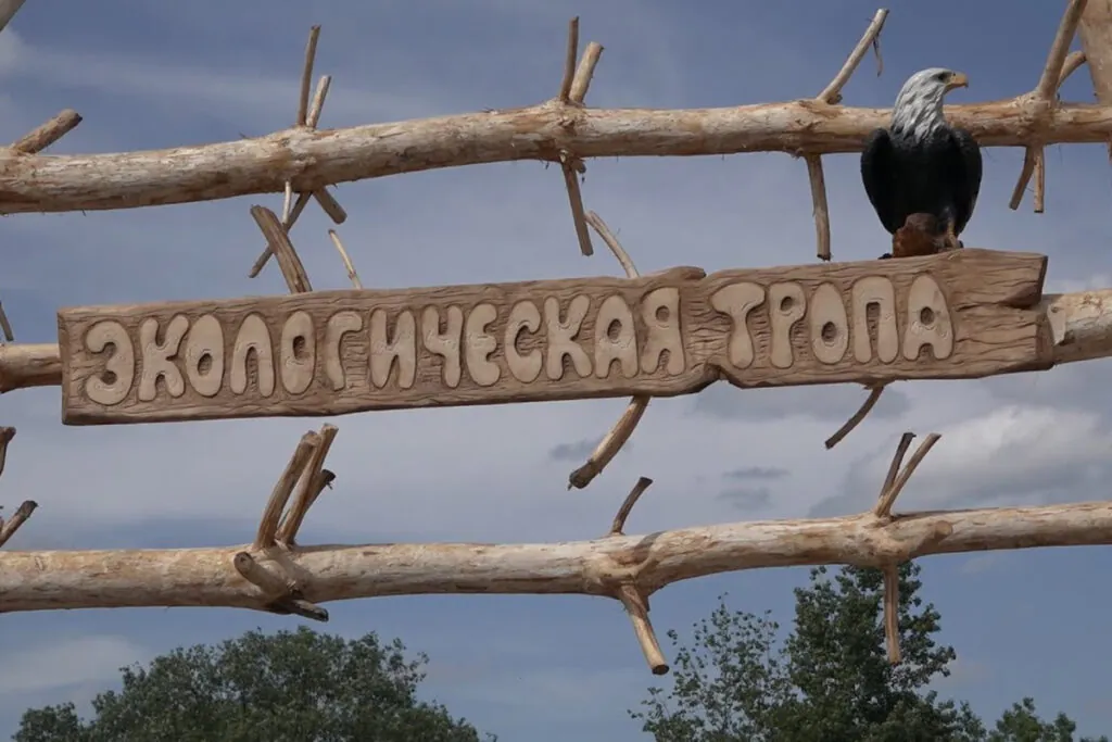 Лучшие экотропы Минска: маршруты для прогулок и отдыха на природе 4 maxresdefault 1 1