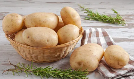 syroi kartofel v pletenoi korzine s natural nymi list ami rozmarina na derevannom derevenskom stole