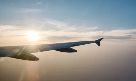 airplane wing sunset blue sky