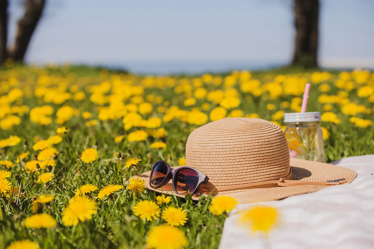 pretty summer hat with sunglasses grass