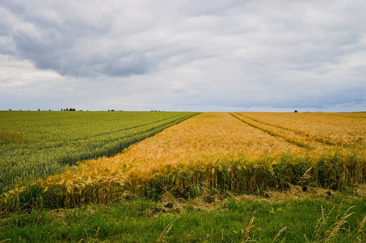 beautiful shot field near road germany