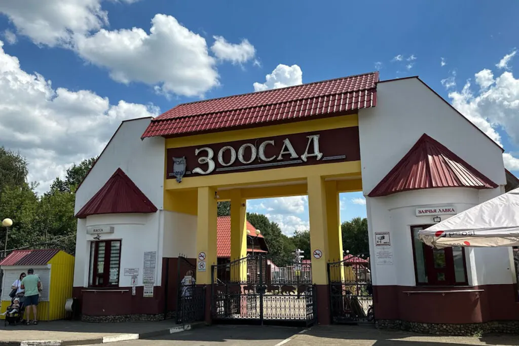 Жара, шторм и новые тигры: чем живет Могилевский зоосад этим летом 2 maxresdefault 3